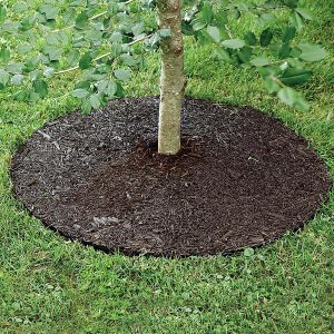 24-Inch Diameter Recycled Rubber Tree Ring for Everlasting Mulching