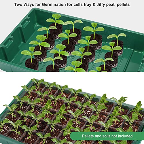 MIXC Seedling Trays - 5-Pack Mini Propagator Equipment for Seed Beginning with Humidity-Managed Vented Domes and Base, 40 Cells Per Tray (Whole 200 Cells)