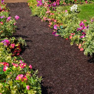 Recycled Rubber Pathway with Everlasting Mulch